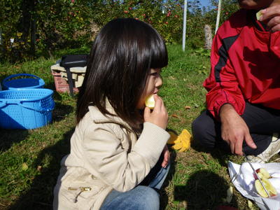 リンゴ狩り　in　信州