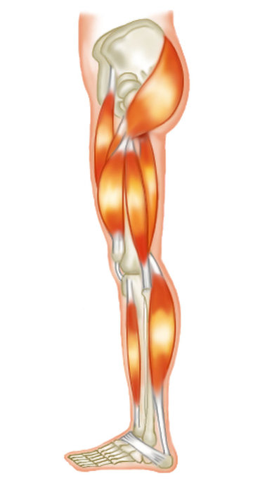 人工関節の入った方の股関節の可動制限・足の痺れ