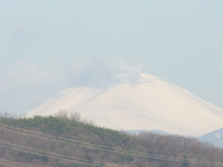 お散歩写真　高崎公園の桜＆煙たなびく浅間山