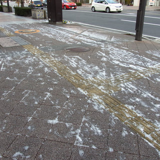 お散歩写真　高崎街なかは道路・舗道の凍結があります。