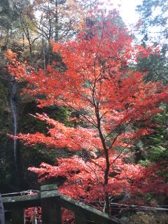 榛名山から秋葉神社へ