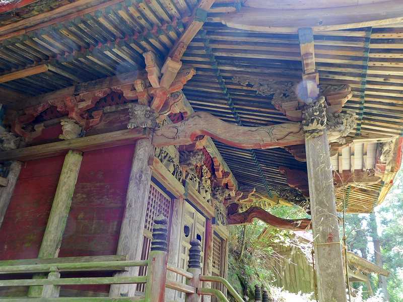 史跡看板散歩-230　戸春名神社の大杉