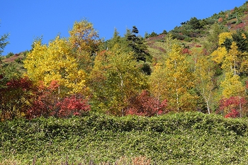 草津白根山