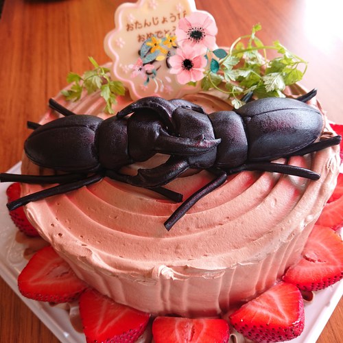 幸せのレシピ Patisserie La La Sweets いろいろなお誕生日ケーキ