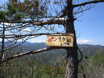 上野村・天狗岩～シラケ山