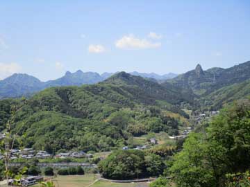 神成山のキンラン