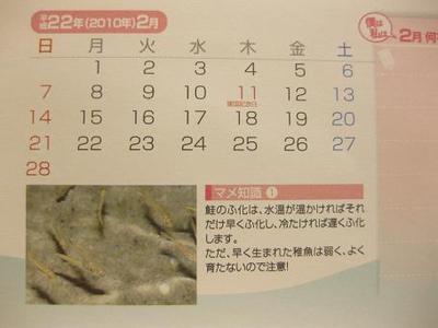 『鮭のカレンダーから学ぶ♪』