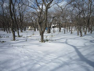 赤城山・覚満淵の雪景色