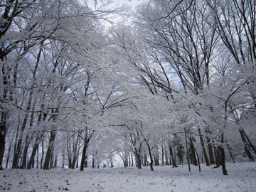 青空の下の雪景色