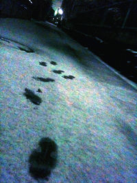Sweet Snow Dream.