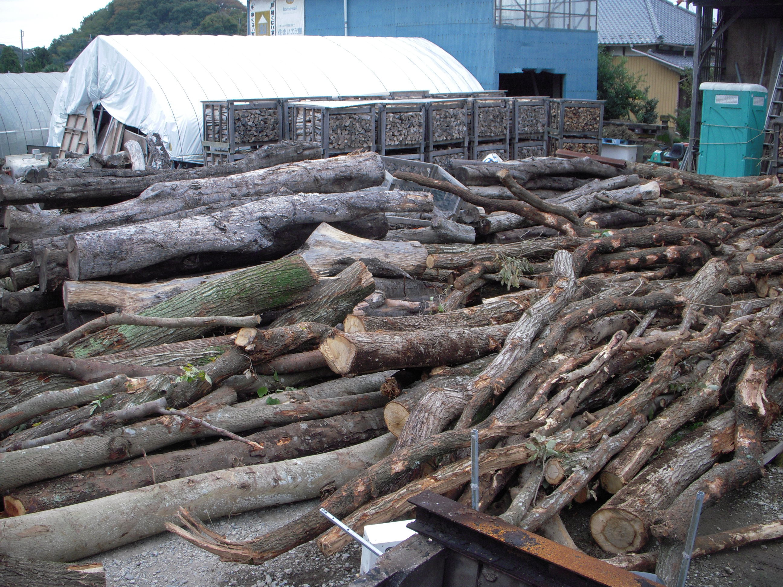 薪の原木回収