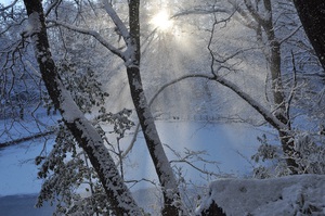 小野池　初雪