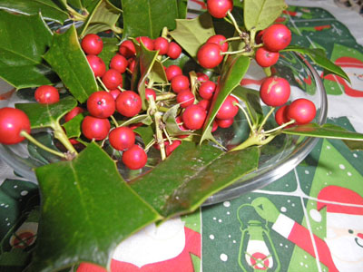クリスマスホーリー