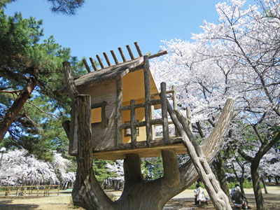 前橋 敷島公園のお花見