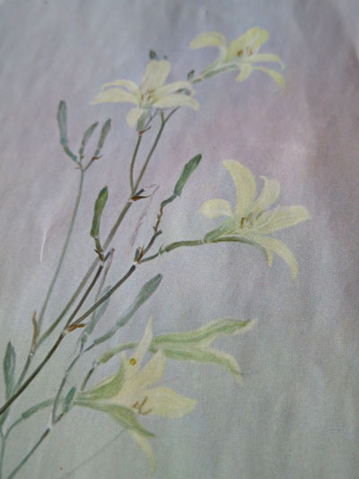 軽井沢草花館 (石川功一氏の作品館)