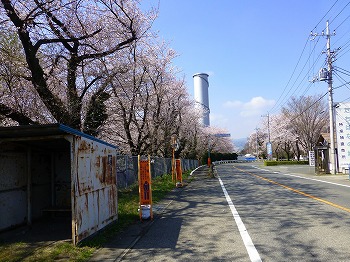 ４月２日桜観賞ドライブに行って来ました。