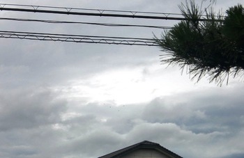 台風一過