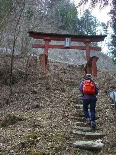 「上野村山開き２０１０」　源流の里ウォーキングコース下見