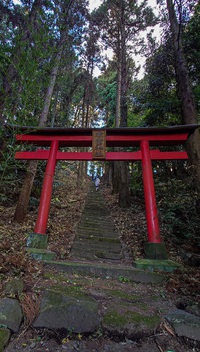 初詣2025 2025/01/03 12:10:16