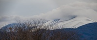 今朝の浅間山（2025年1月12日） 2025/01/12 16:00:39