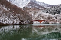 雪の碓氷湖 2025/03/05 15:01:08
