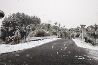 雪ですね