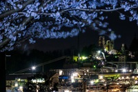 群馬のミッドガルと夜桜 2025/04/14 16:29:00