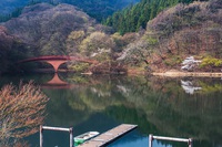 若葉が映る碓氷湖の湖面 2025/04/15 17:40:00