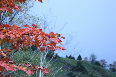 秋の白根山行～リベンジ　１
