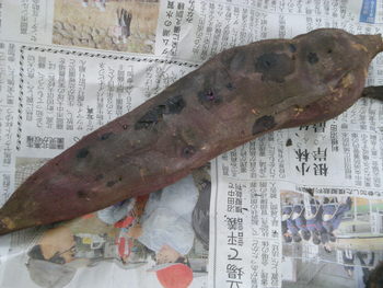 ドラム缶石焼き芋機　試運転