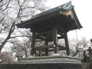 山高神代桜と実相寺
