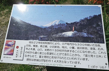 赤城山のツツジと富士山 ♪