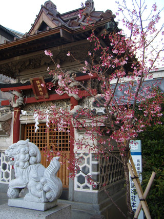 お散歩写真　高崎駅前編その２