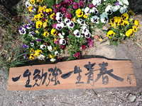 一生勉強
