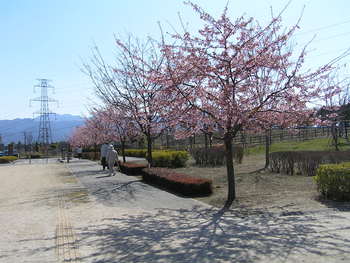 ３月の公園景色
