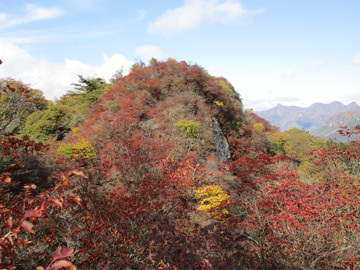 三岩岳の紅葉