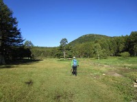 リンドウを見に烏帽子岳へ