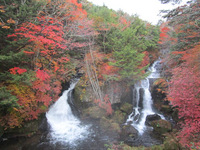 奥日光・半月山の紅葉