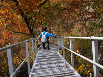 妙義山中間道の紅葉