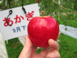 りんご狩りin沼田