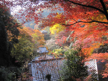 行道山浄因寺～織姫神社ハイキング　1