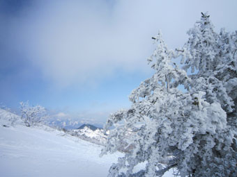 湯の丸山の雪景色