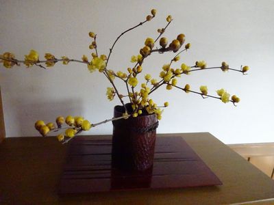 あけましておめでとうございます