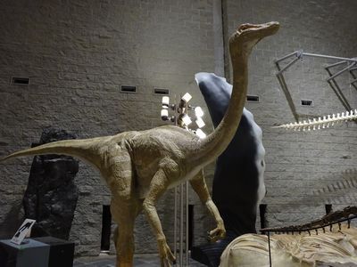 自然史博物館「恐竜時代の海の支配者」展