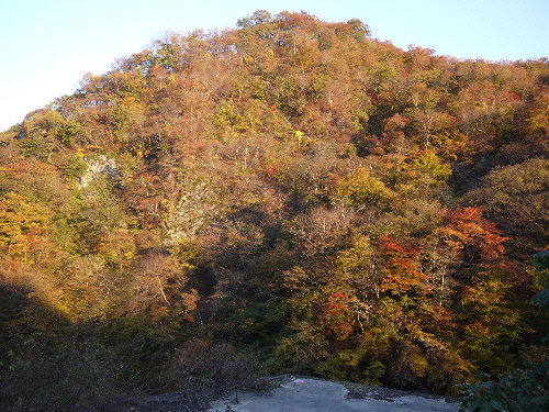 これが最後の吾妻渓谷の紅葉