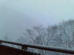 積雪